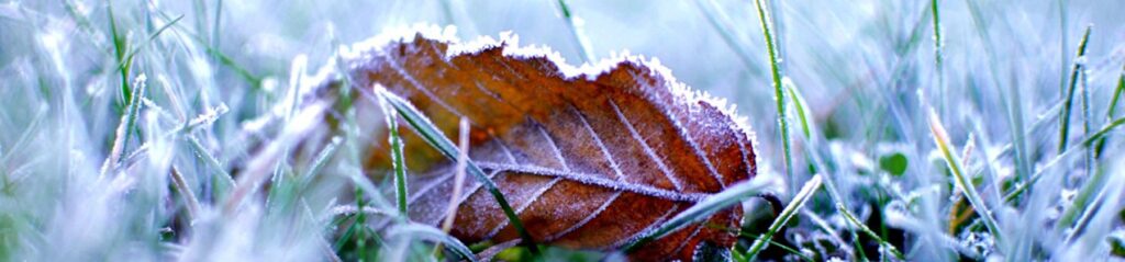 Fire safety in winter | Mitie Fire & Security